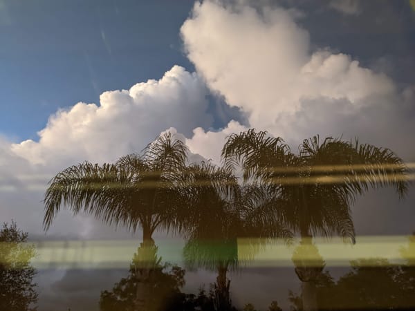 The top of three queen palm trees silouetted against fluffy, white cumulus clouds in a darkening sky.